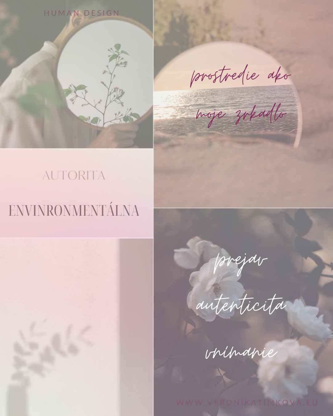 Environmentálna autorita v obrazoch