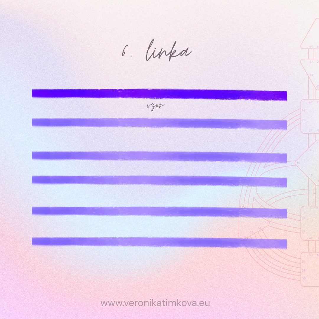 6. profilová linka VZOR