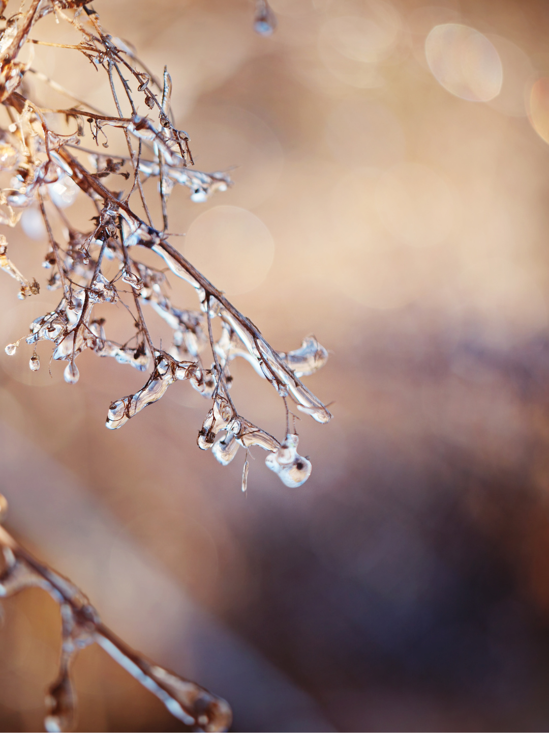 Human Design reflexia