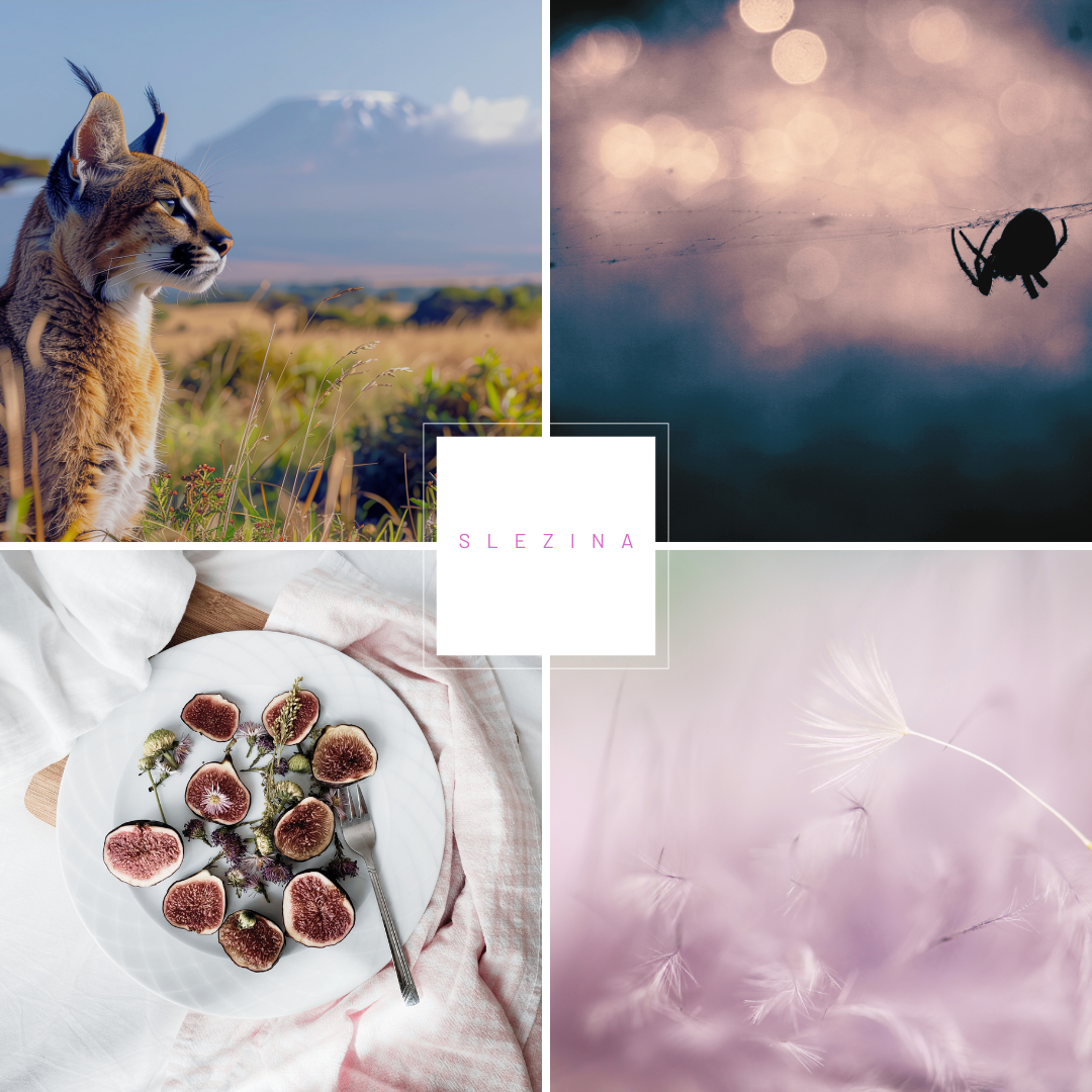 Centrum Sleziny v obrazoch